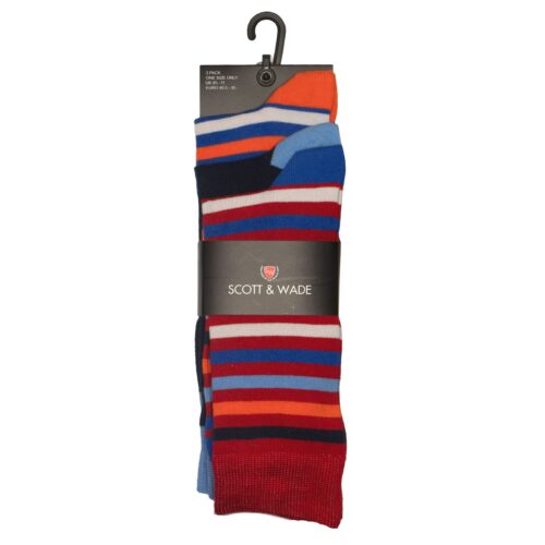 ASSTD SOCK PACK 1004