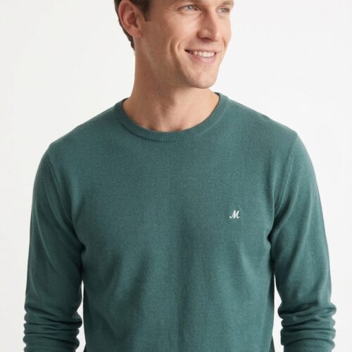 men's seamoss green crew neck knit