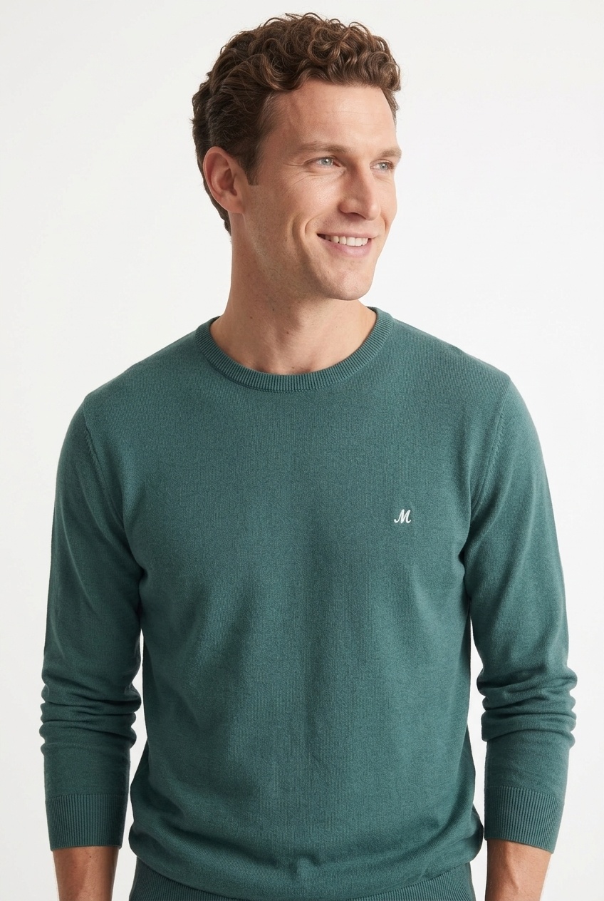 men's seamoss green crew neck knit