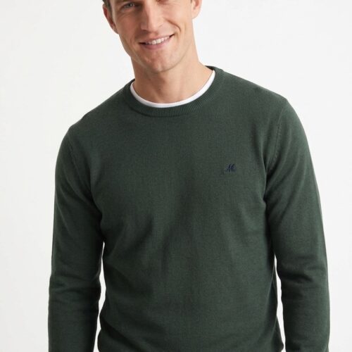 men's forest crew neck knit